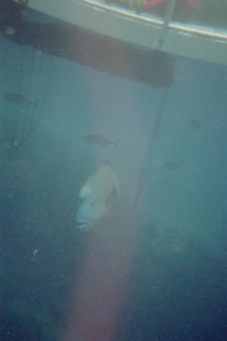 img012.jpg