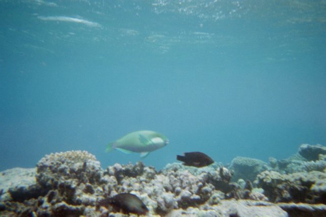 img018.jpg