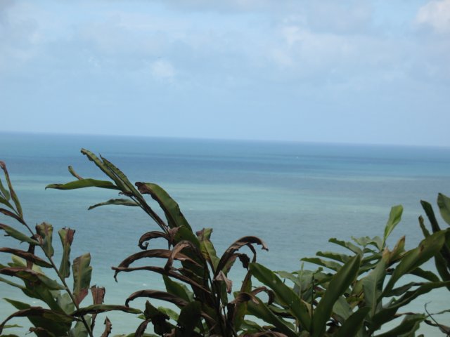 img_1384.jpg