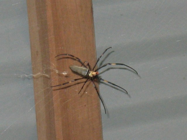 img_1387.jpg