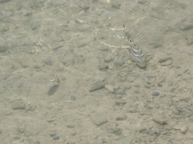 img_1656.jpg