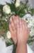 img_0683_small.jpg