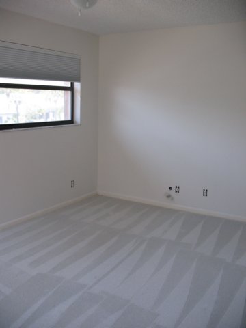 carpetscleaned_01.jpg