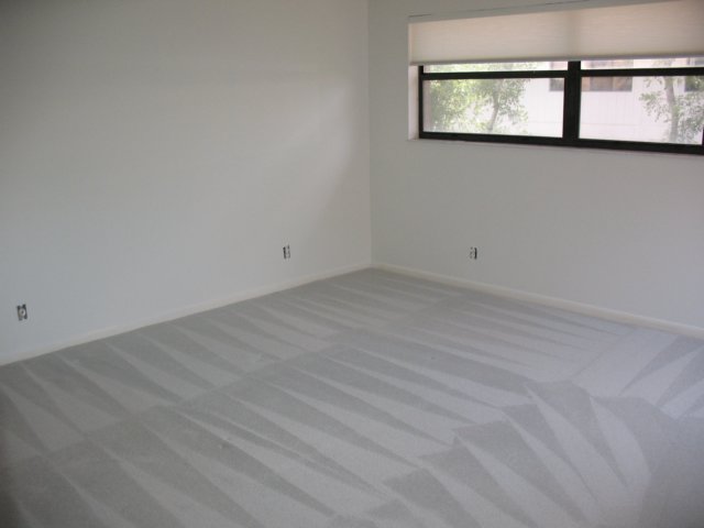 carpetscleaned_02.jpg