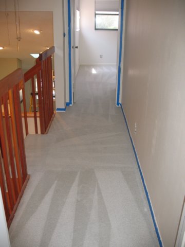 carpetscleaned_03.jpg